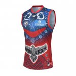 Camiseta Melbourne Demons AFL 2022