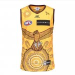 Camiseta Hawthorn Hawks AFL 2023 Indigena